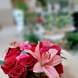 Workshop Valentijn 5 febr '26