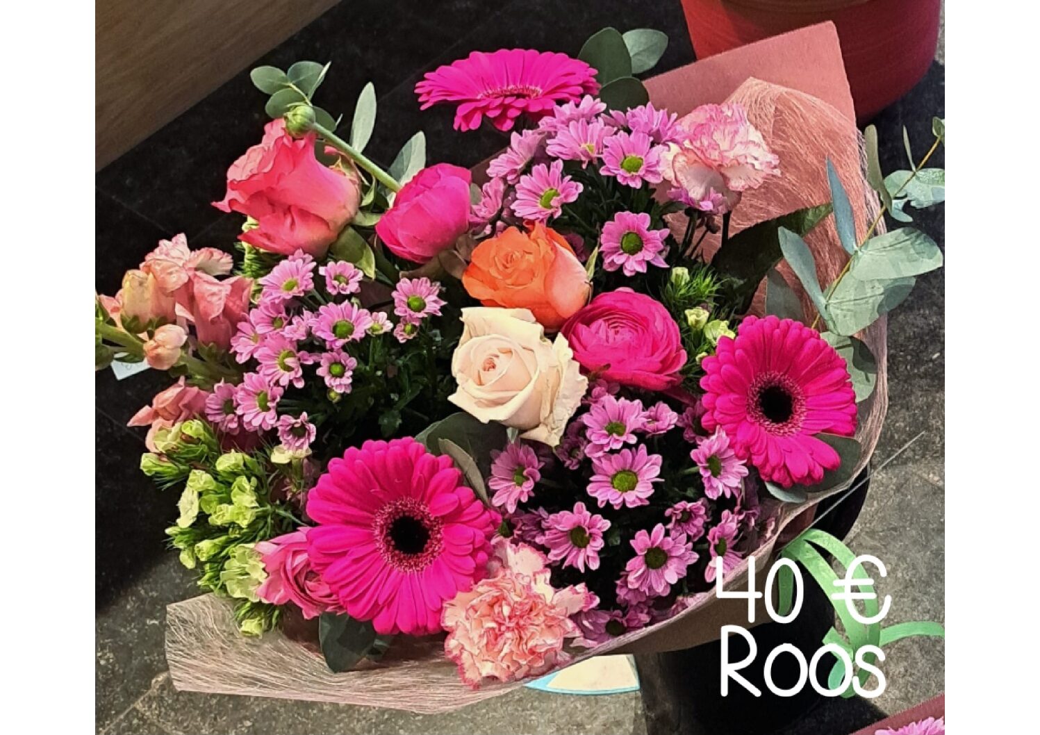 Roos 40€